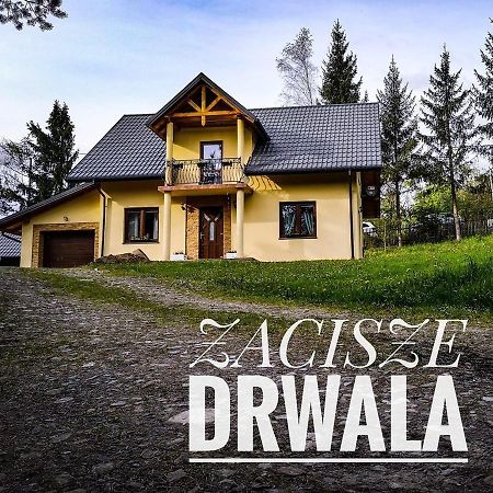 Maison d'hôtes Zacisze Drwala à Lutowiska Extérieur photo
