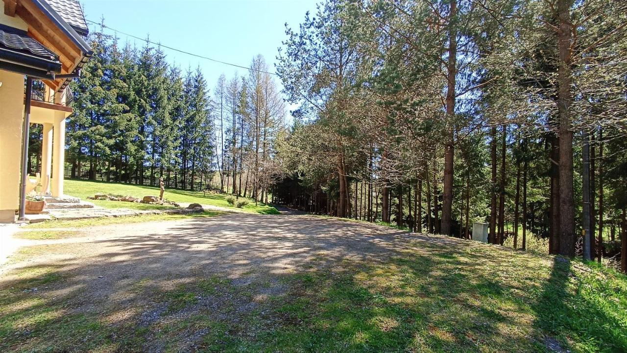 Maison d'hôtes Zacisze Drwala à Lutowiska Extérieur photo