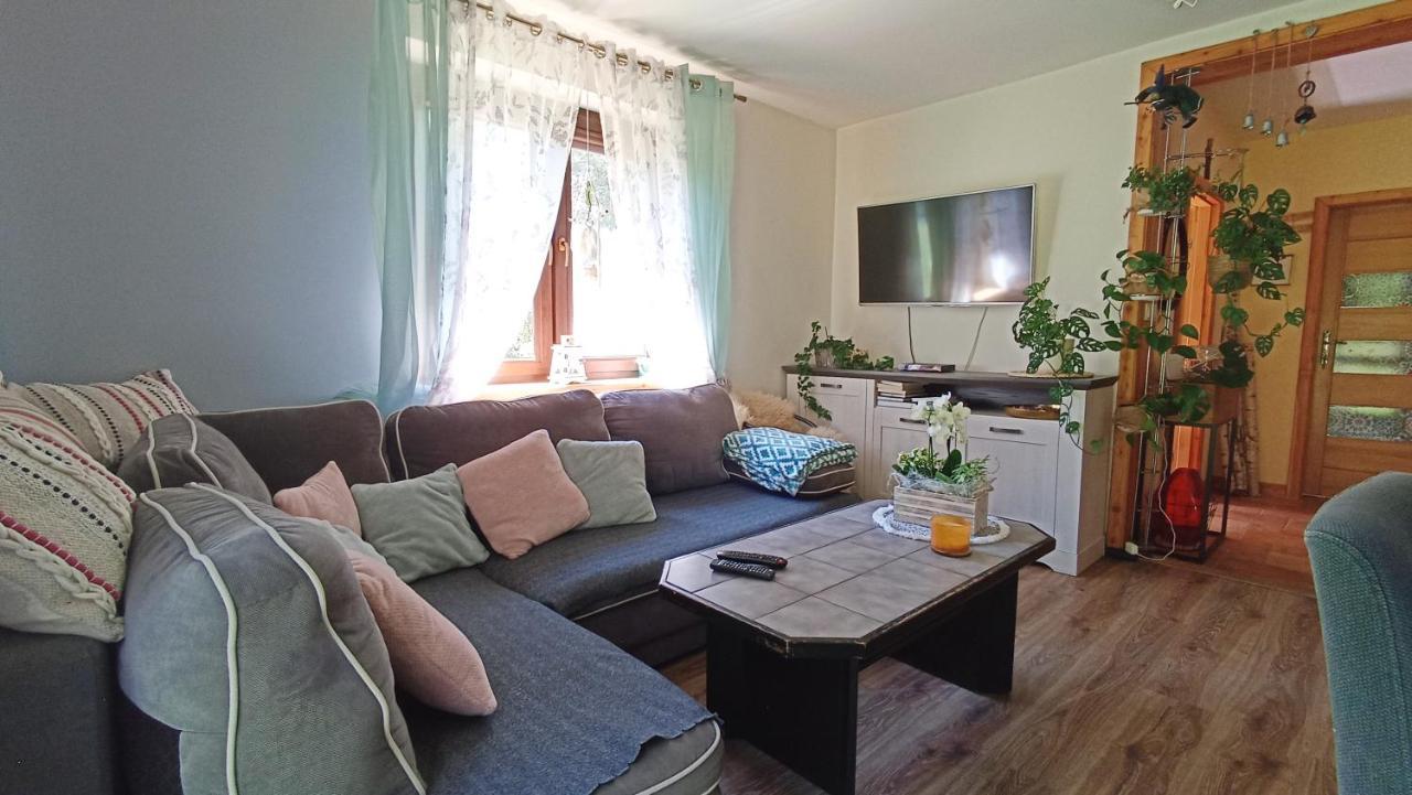 Maison d'hôtes Zacisze Drwala à Lutowiska Extérieur photo